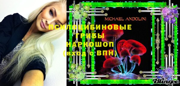 твердый Алексин