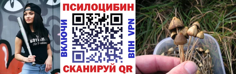 Купить  Спас-Деменск  Галлюциногенные грибы MAGIC MUSHROOMS 